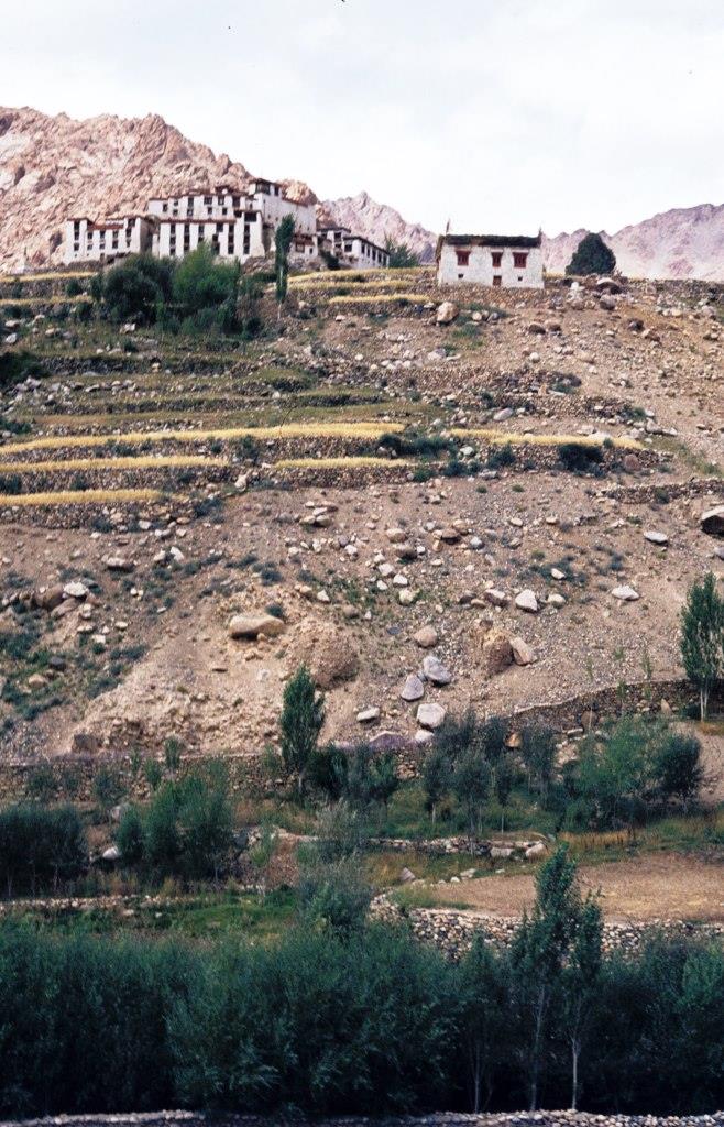 Likir Gompa - 1981